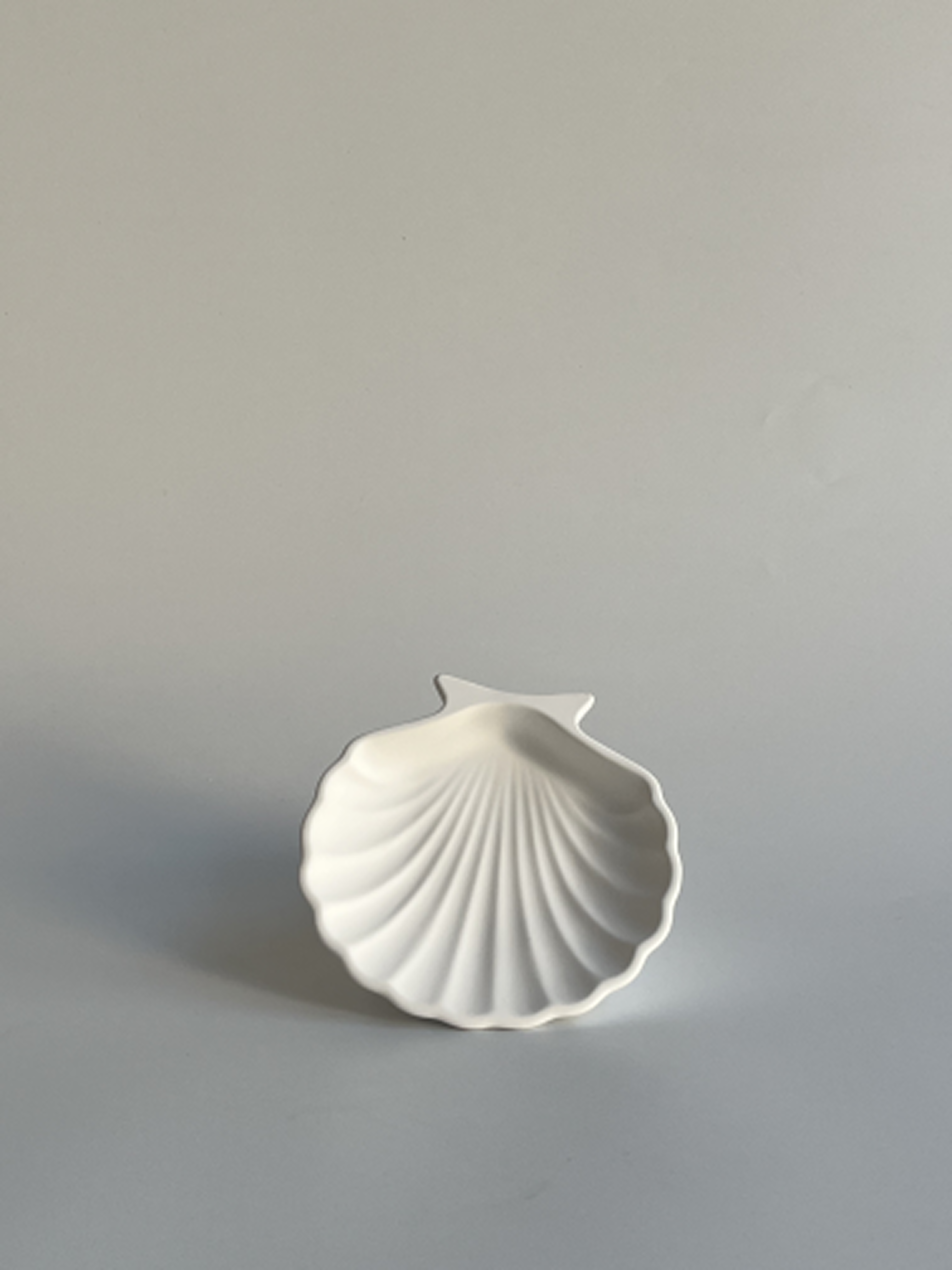 İstiridye - Ivory