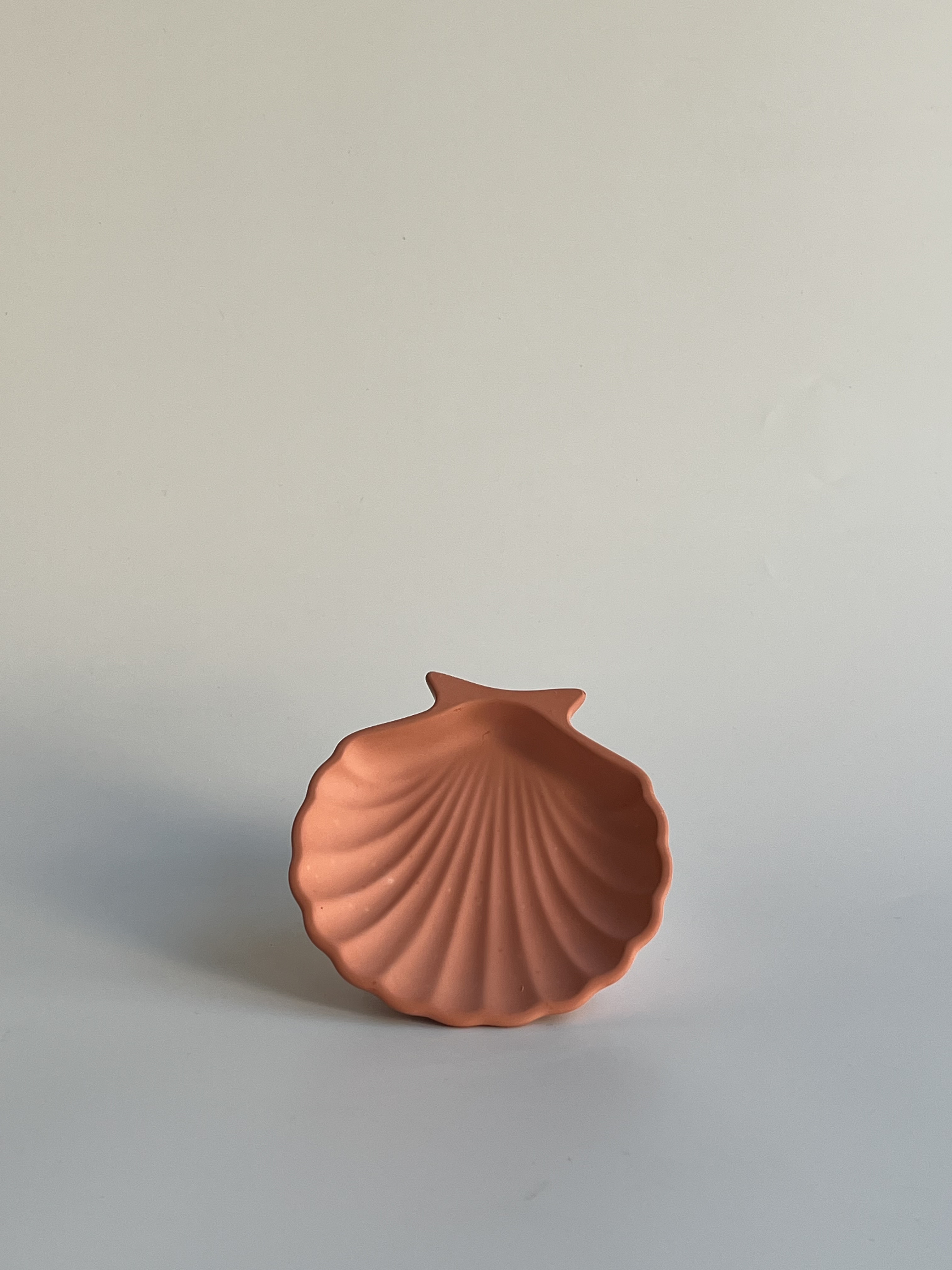 İstiridye - Amber