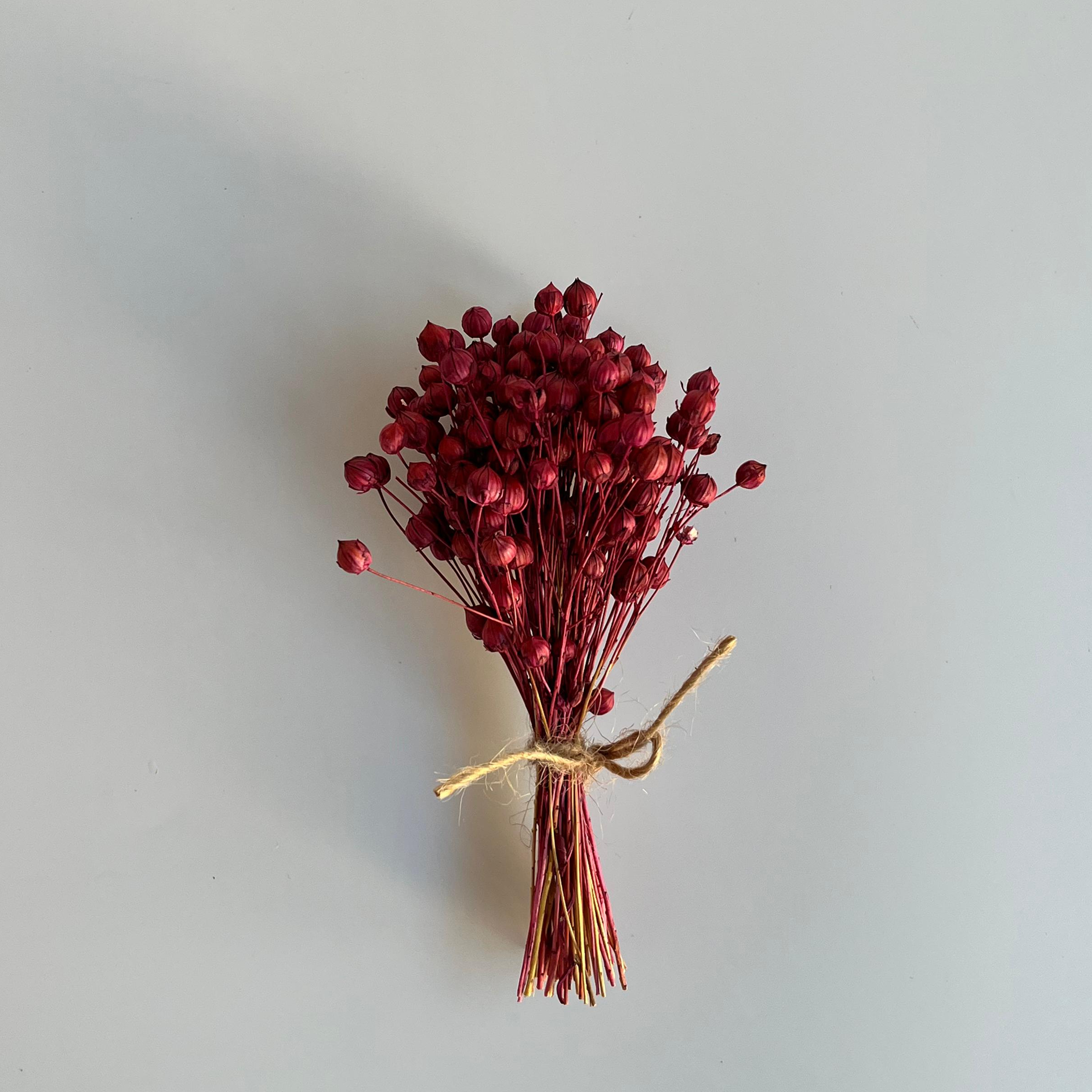 Kurutulmuş Luna - Bordo