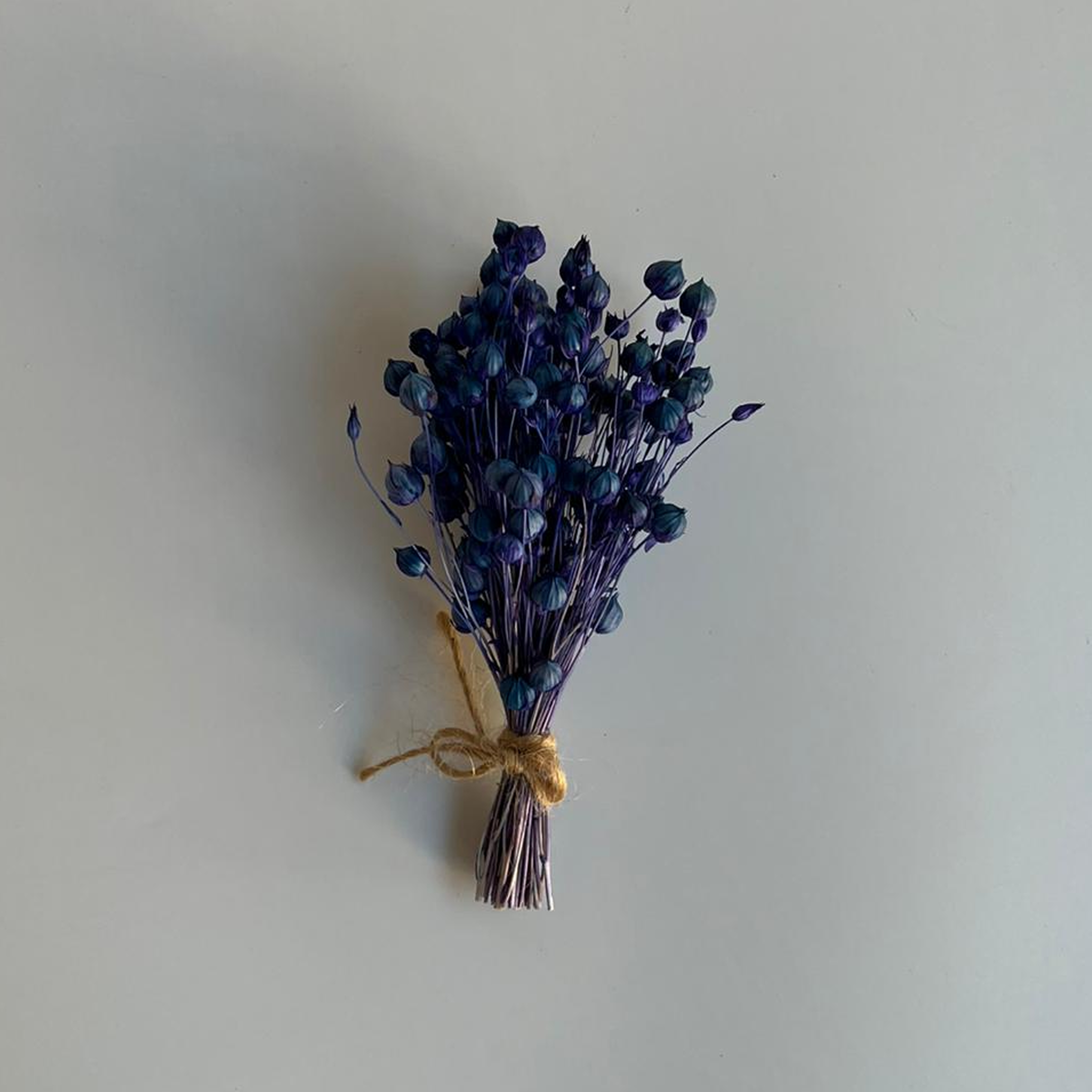 Kurutulmuş Luna - Lacivert